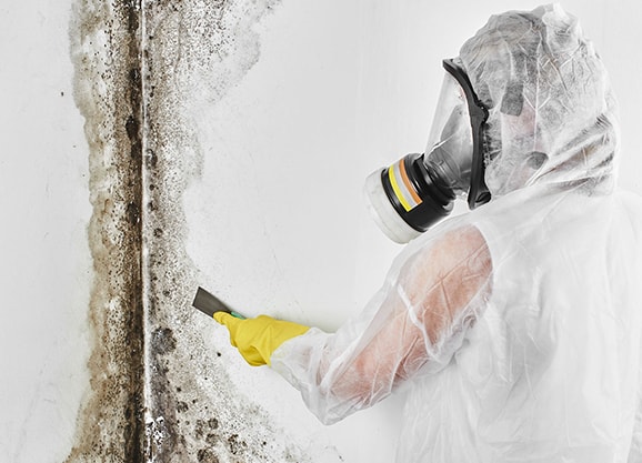 Mold Remediation Downtown San Diego