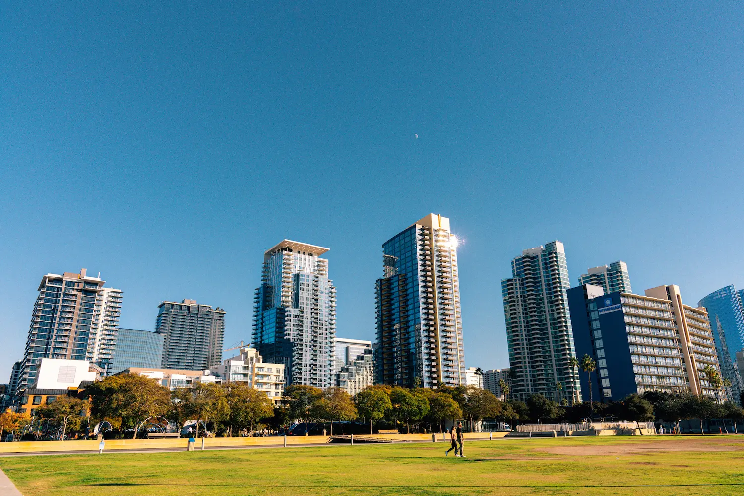 San Diego waterfront park with palm trees and a grassy lawn, featuring modern skyscrapers including the blue Wyndham hotel under bright, clear sunlight.